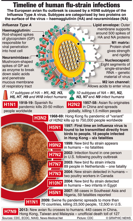 israel bird flu outbreak