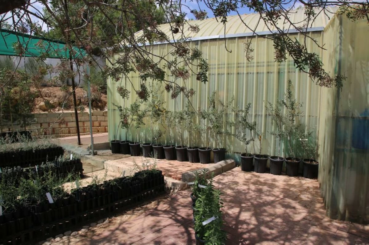 Jordan is one of the world’s most water-scarce countries, and the RBG aims to provide practical solutions
(Photos by Sophie Constantin)