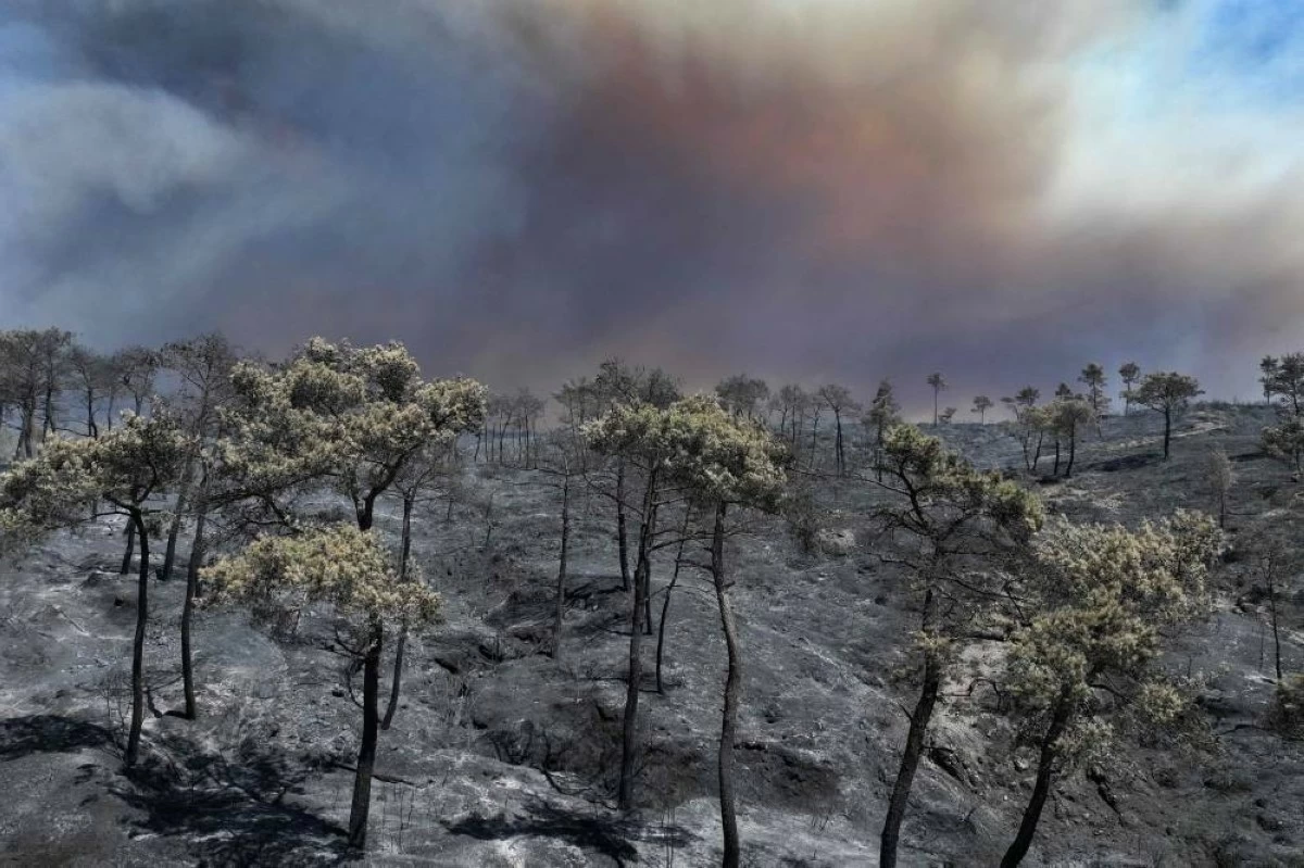 An aerial view shows smoke billowing from a forest fire in the coastal Syrian province of Latakia on July 5, 2025.
(AFP photo)
