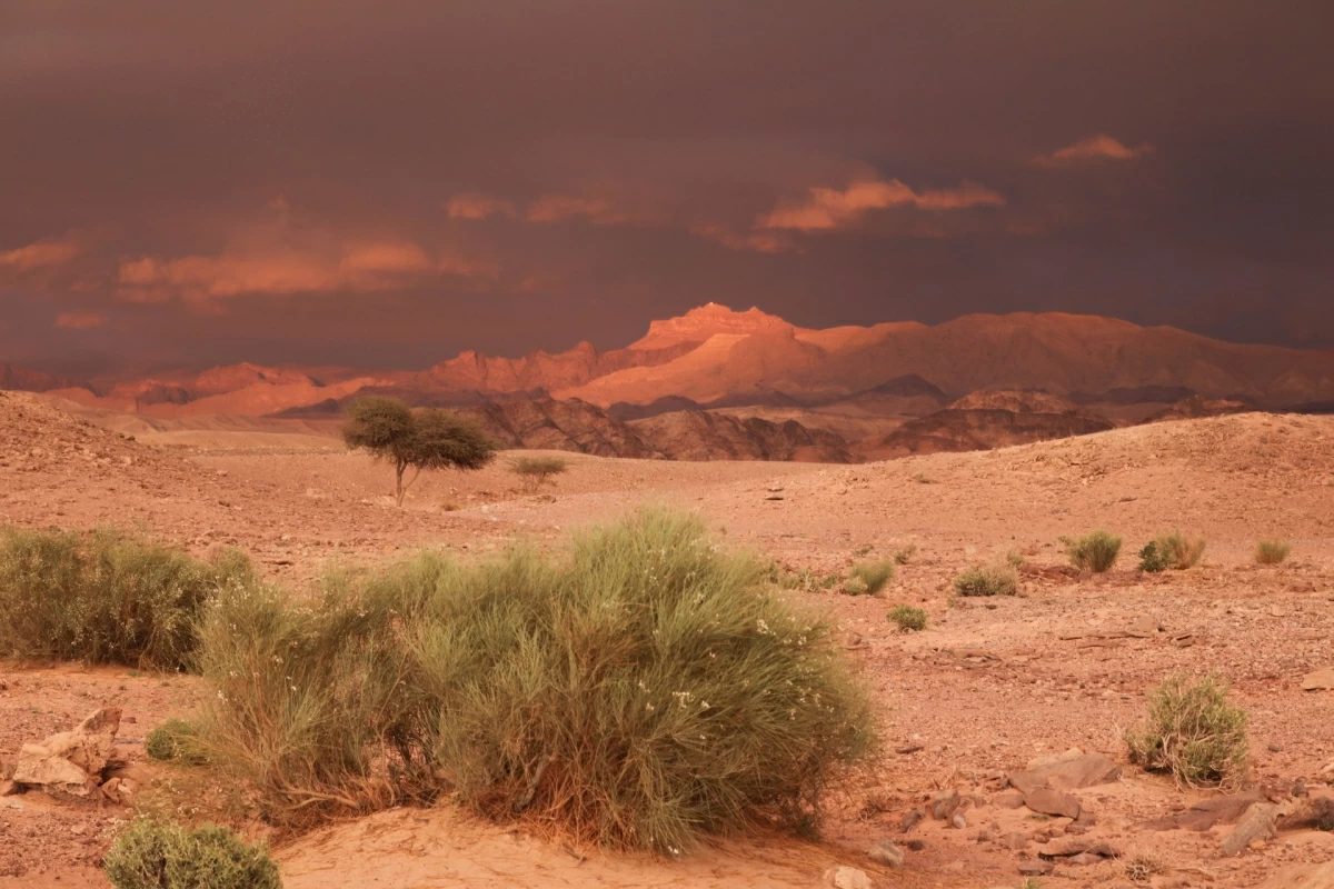 A view of Abu Khushaiba region in Wadi Araba (Photo courtesy of the Wadi Araba Development Company)