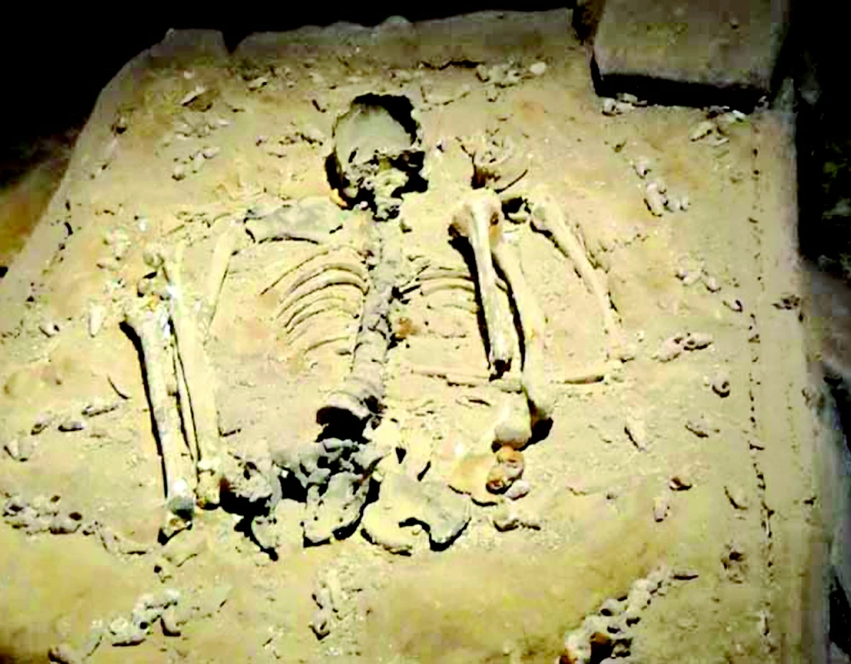 The remains of Perak man who is 11,000 year old skeleton, one of the oldest in Southeast Asia (Photo courtesy of Orang Perak)