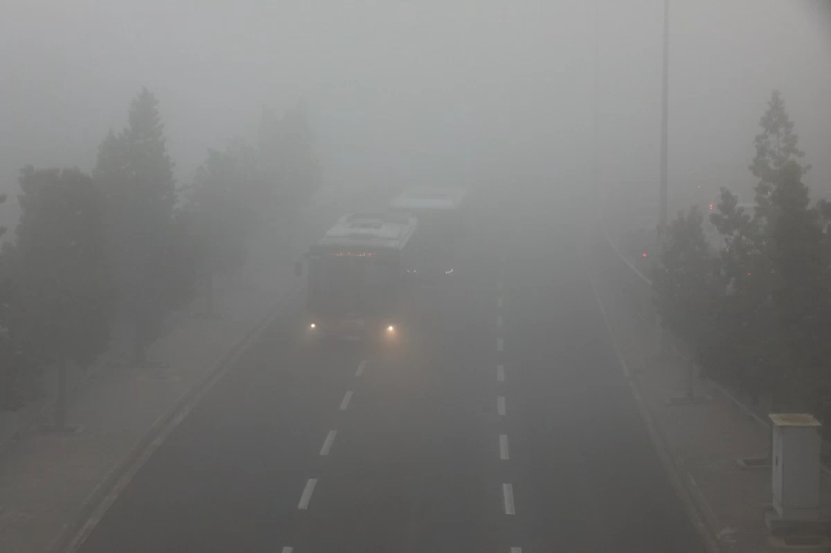 Cold and partly cloudy to overcast conditions are expected to persist on Friday, with showers forecast mainly in the west of the Kingdom and in limited parts of the east, according to the Jordan Meteorological Department 

(Photos by Ahmed Khleifat)