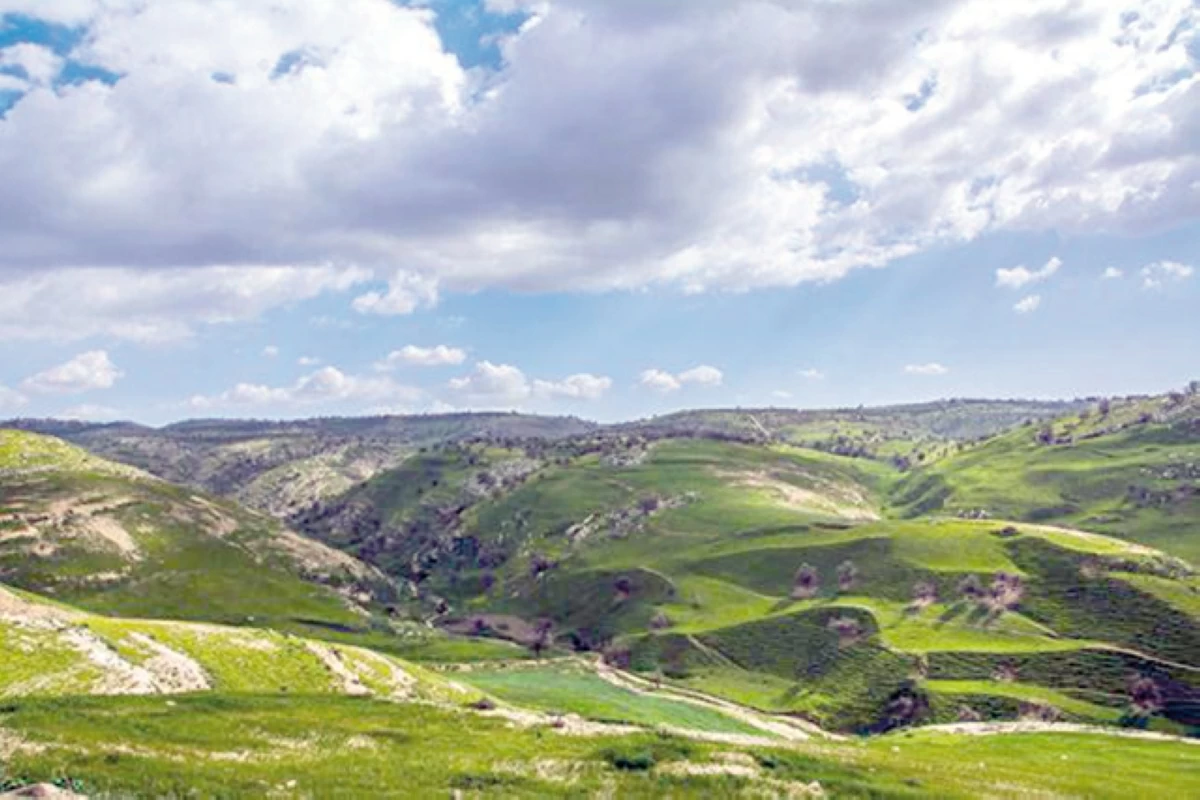 The Ministry of Environment on Sunday says that the third State of the Environment Report for 2015–2022 monitors environmental challenges and pressures (File photo)