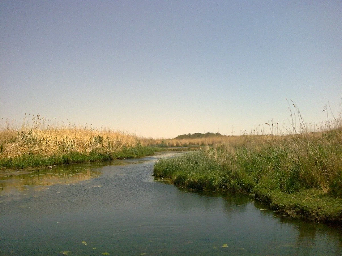 Aerial view from the north of Azraq Wetland Reserve

(Photo courtesy of ACOR)