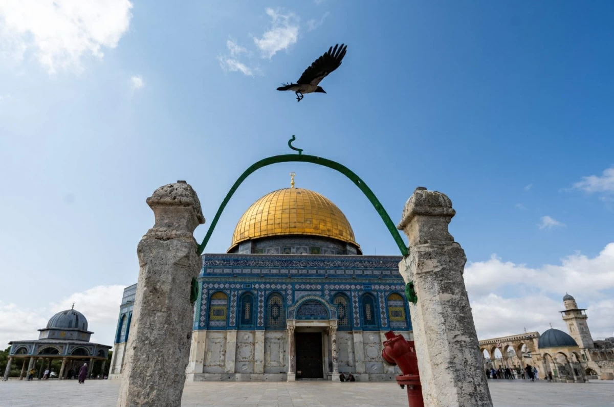 A crow flies near the Dome of the Rock Mosque at the Al Aqsa Mosque Compound in the occupied Jerusalem, Palestine, on June 18, 2023

(AFP Photo)