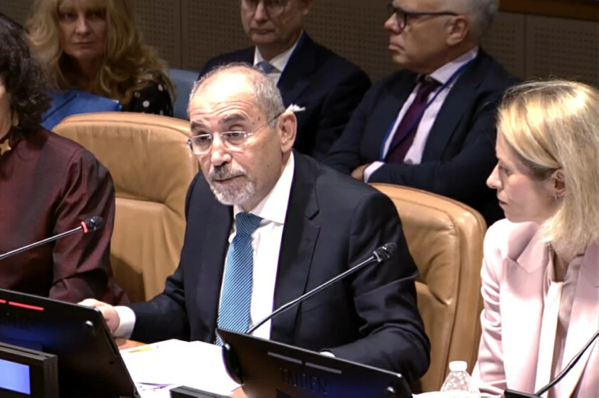 Safadi urges international community to act on Gaza humanitarian crisis