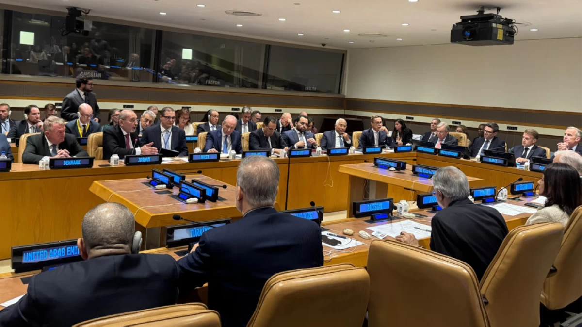 Foreign minister calls for ‘concrete, deterrent’ measures to uphold two-state solution