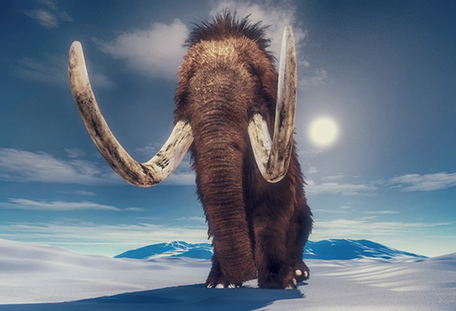 In the footsteps of a woolly mammoth, 17,000 years ago | Jordan Times