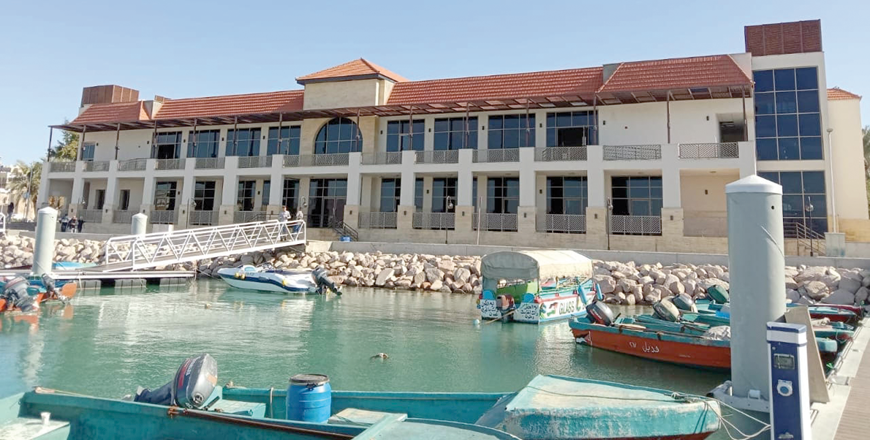 Withstanding climate change, Jordan's coral reefs struggle against human  impact