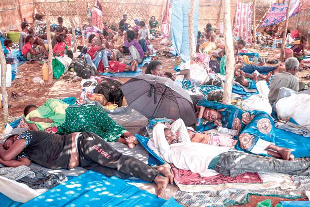 'Full-scale Humanitarian Crisis Unfolding' In Ethiopia — UN | Jordan Times