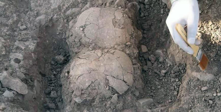 Two human skulls dating back to Neolithic period unearthed in Jerash ...