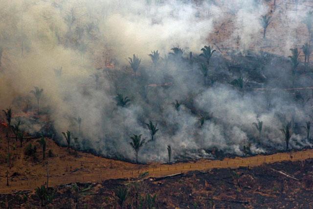 Hundreds Of New Fires In Brazil As Outrage Over Amazon Grows | Jordan Times