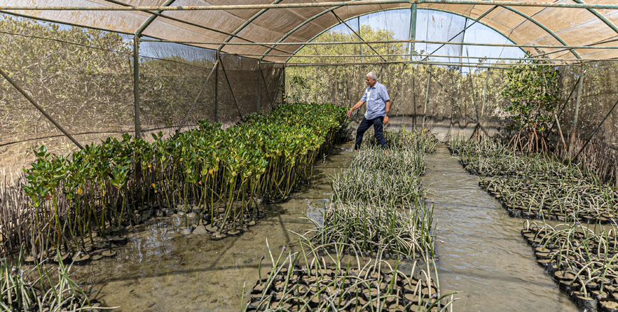 One-two punch: farming, global warming destroying unique East