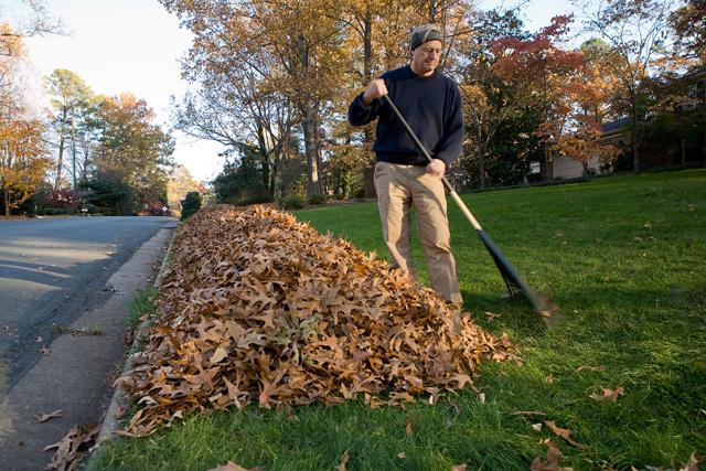 Raking leaves again this fall? Stop right now | Jordan Times