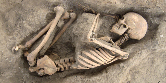 Skeletal remains found in Wadi Faynan 16  (Photo courtesy of Steven Mithen)