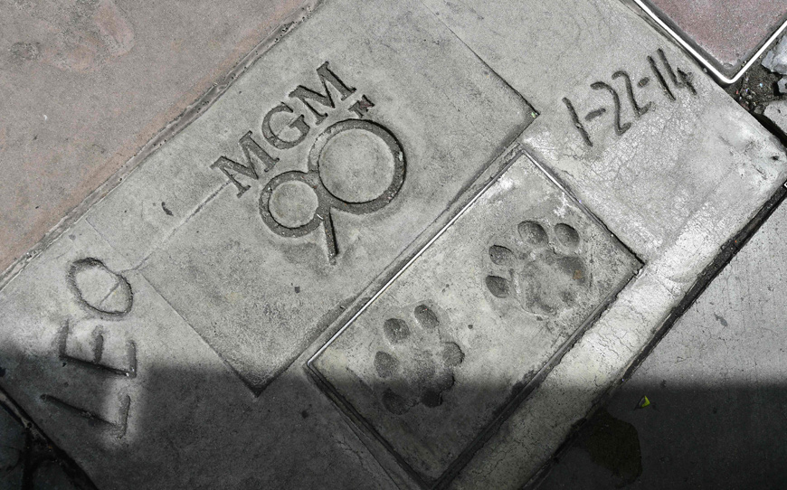 Amazon has agreed to buy the storied MGM studios for $8.45 billion, the companies said, on Wednesday  (AFP file photo)