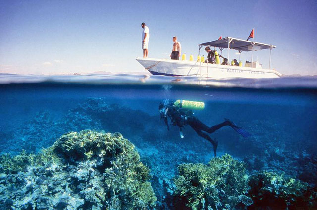 In this undated photo, a diver explores reefs near the coastal city of Aqaba. The Aqaba Special Economic Zone Authority launched the world’s first diving app, which will allow divers to create and share personal diving routes (Photo courtesy of the Jordan Tourism Board)