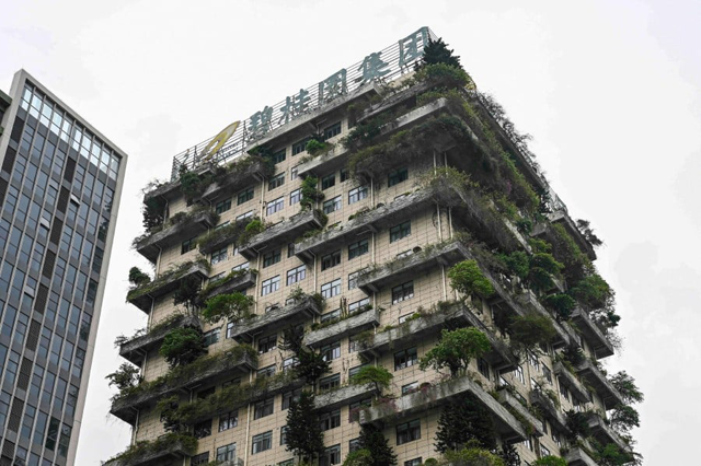 This photo taken on June 15, 2023, shows the headquarters of China's developer Country Garden Holdings in Foshan, in China's southern Guangdong province, China (AFP file photo)