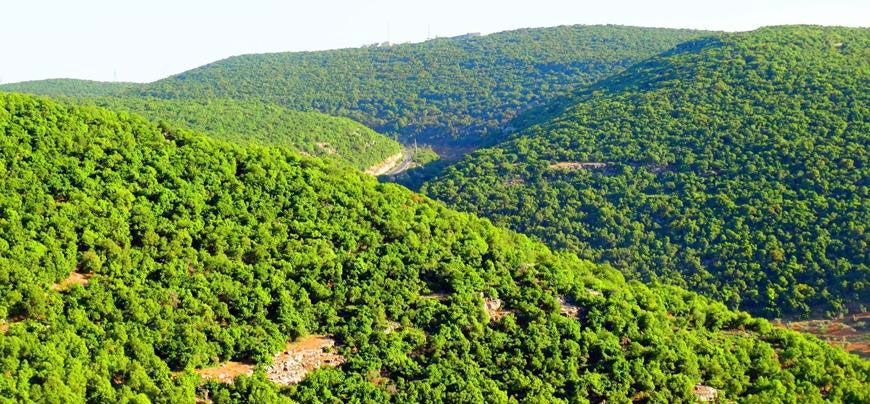 In this undated photo, the Ajloun Forest Reserve can be seen. The Ministry of Environment said on Wednesday that it was preparing for a national clean-up campaign which will target parks such as the reserve (JT file photo)