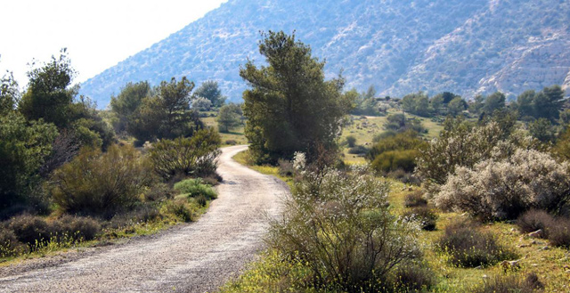 A view of Dana Biosphere Reserve, located in Tafileh Governorate, 180km southwest of the capital (Photo courtesy of Jihad Bdour)
