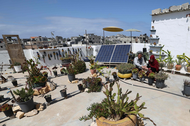 In this photo taken on March 29, Salama Badwan, a 40-year-old Palestinian man, and his wife Alaa, 40, tend to Aloe Vera plants grown on their roof to be used for oil extraction and soap-making, at their home in Deir Al Balah in the centre of the Gaza Strip (AFP photo)
