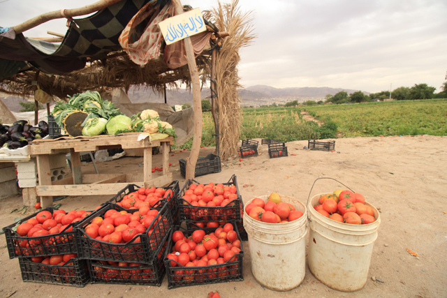 A vegetable vendor’s stall is seen on the roadside in the Jordan Valley in this recent photo (Photo by Imke van Smoorenberg)