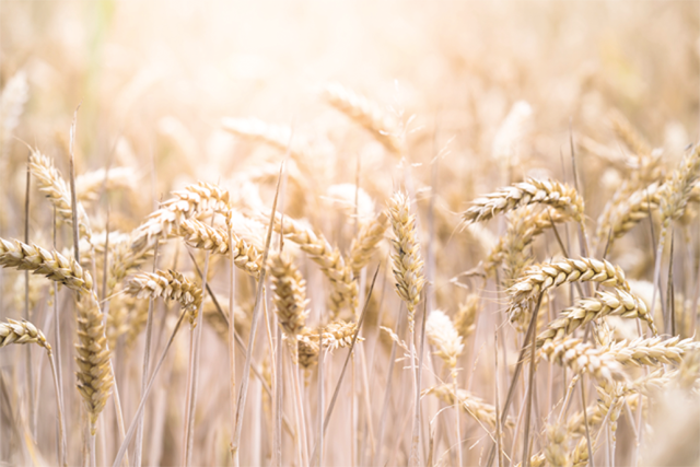 Representative image (Photo courtesy of unsplash)