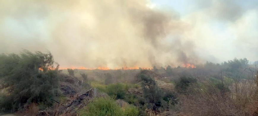 Wildfires are seen raging in the Jordan Valley in this photo taken on Friday (Photo courtesy of Jamal Masalha)