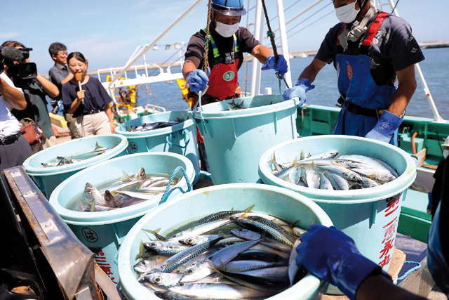 Fishery workers unload seafood caught by offshore fishing trawlers, at Matsukawaura port in Soma, Fukushima prefecture on September 1, about a week after the country began discharging treated wastewater from the TEPCO Fukushima Daiichi nuclear power plant (AFP photo)