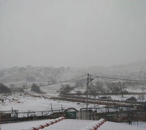 Snowfall is reported on Thursday in several high-altitude areas of Ajloun, including Ibbin, Iblin, Sakhra, Ras Munif, Afna, Samita and Anjara (Petra photo)
