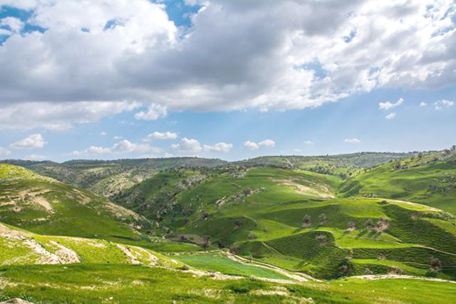 Heeding the global calls for conserving the environment, a group of Jordanians and foreign residents in the Kingdom have joined the environmental protection bandwagon with their own individual initiatives and projects (JT file photo)