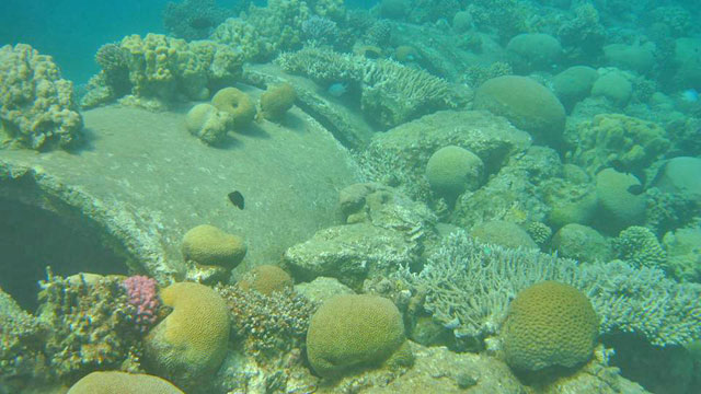 Creating the new diving sites in Aqaba, located some 330 kilometres south of the capital, also aims at replacing diving locations which were shut down for their proximity to industries off the southern beach, according to ASEZA (Photos courtesy of ASEZA Facebook page)