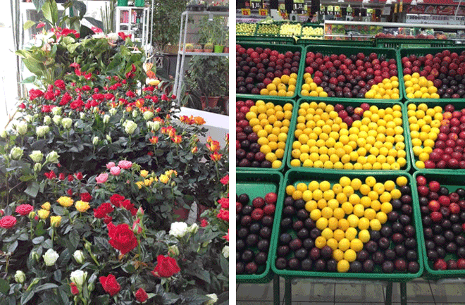 Left: Flowers are seen at a florist shop in Amman on Tuesday. Right: Fruits are arranged in the shape of a heart at a supermarket in Amman on Tuesday (Photos by Rayya Al Muheisen)
