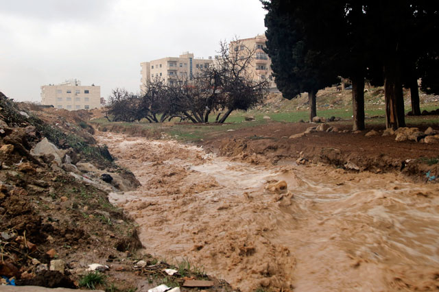 The rain, which started on early Friday and lasted until early Saturday, 'has saved this year's agricultural season from a looming drought', officials said (Photo by Osama Aqarbeh)