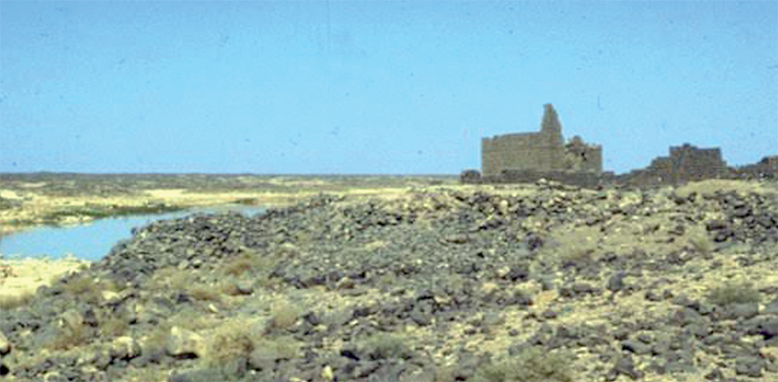 A Finish scholar, Ilkka Lindstedt, from The University of Helsinki, found 15 previously unpublished Arabic inscriptions from the north-eastern Jordan (Photo courtesy of ACOR)