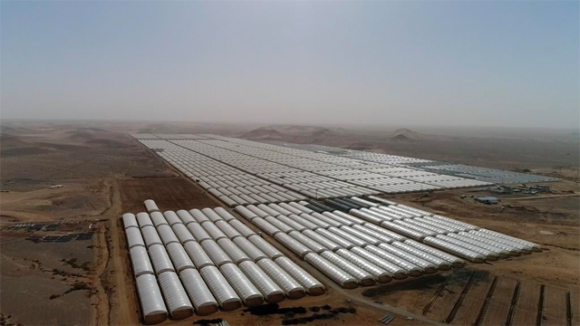 An aerial view of the agricultural mega-project launched by the Jordan Armed Forces-Arab Army (JAF) in Al Ghamr  (Photo courtesy of JAF)