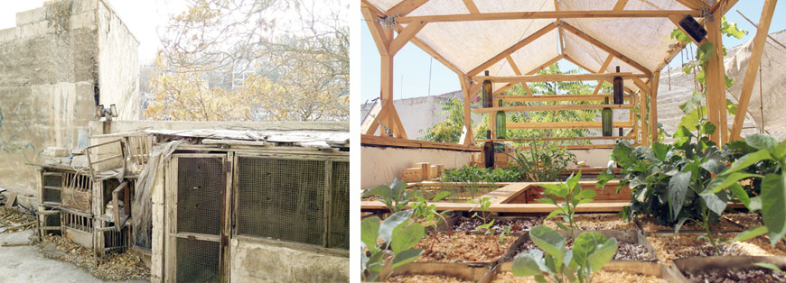 The rooftop of Jadal for Knowledge and Culture before (left) and after transforming it into an experimental urban farm (Photo courtesy of Greening The Camps)