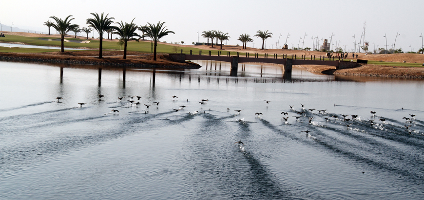 Between 60,000 to 70,000 tourists visited Aqaba, some 330km south of Amman, in February (Photo by Osama Aqarbeh)