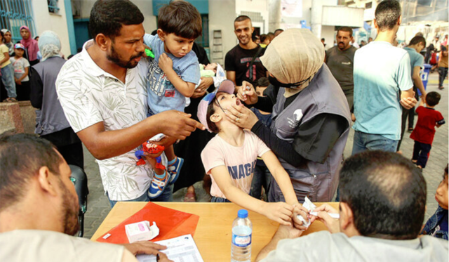WHO said Wednesday that mass polio vaccination would resume in Gaza on Saturday, targeting nearly 600,000 children, after the virus was again detected in the war-ravaged Palestinian territo (AFP photo)