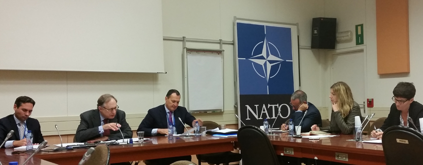 Ambassador Alexander Vershbow (centre), deputy secretary general of NATO, speaks to reporters in Brussels recently (Photo by Mohammad Ghazal)