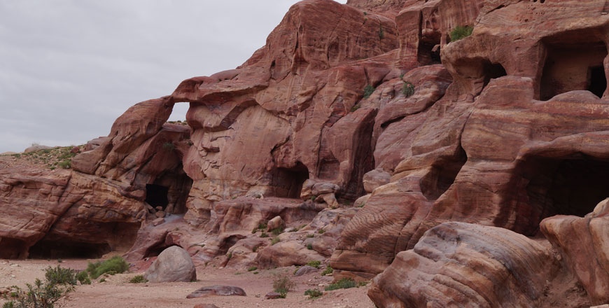 Home to an ancient Nabataean city carved in rock, the Petra region is also rich in flora and fauna, according to officials (Photo by Rajive Cherian)