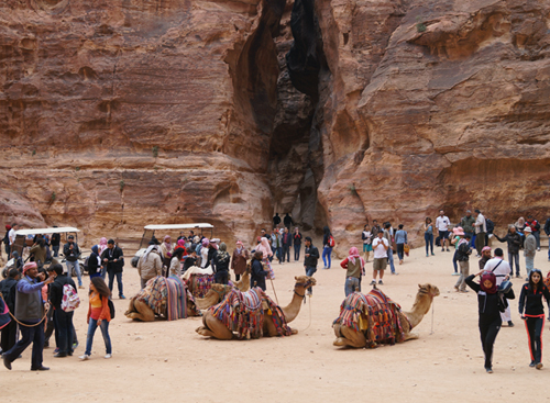 Under a by-law recently published in the Official Gazette, animals used for transporting visitors in areas in Petra difficult to navigate in cars will be examined by a vet (Photo by Rajive Cherian)