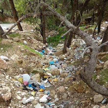 In the summer, forests and parks receive large numbers of picknickers who leave their rubbish behind them  (Photo courtesy of ECO Hikers)