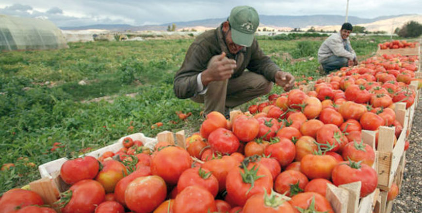 Farmers were worried over the late start of the 2017-2018 wet season and its impact on the agricultural sector (Petra photo)