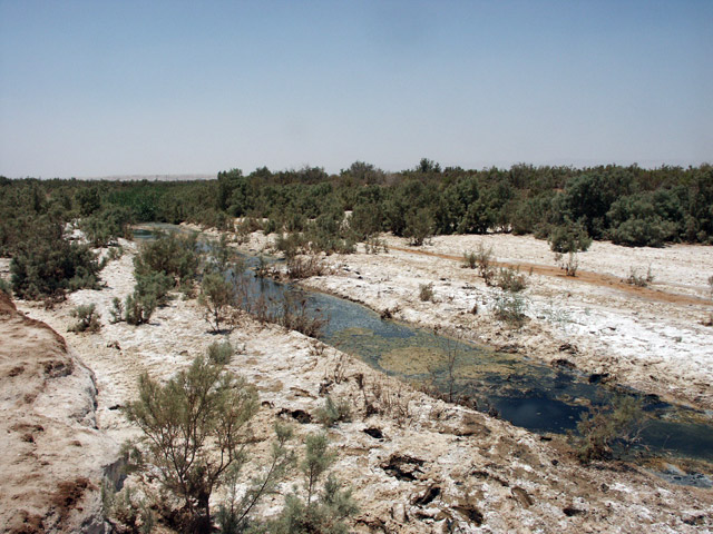 Fifa Nature Reserve in Karak Governorate joins the Ramsar Convention on Wetlands of International Importance and becomes the world’s lowest location of a Ramsar Site (Photo courtesy of Ramsar Convention website)
