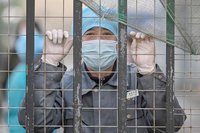 A worker wearing a face mask looks out from an entrance of a hospital towards the Wuhan centre for disease control and prevention, after members of the World Health Organisation  team investigating the origins of the COVID-19 coronavirus arrived at the centre, in Wuhan, China's central Hubei province, on Monday (AFP photo)