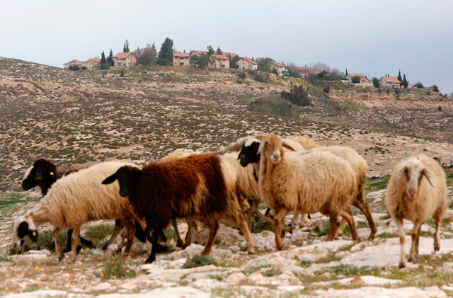 A photo taken from the Palestinian village of Al Rahwa shows the Israeli settlement units of Teneh Omarim (top) in the Israeli occupied West Bank on Wednesday (AFP photo)