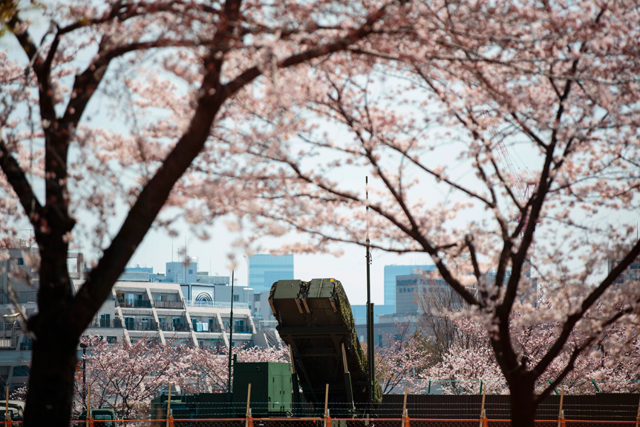 A PAC-3 surface-to-air missile launcher unit, used to engage incoming ballistic missile threats, is seen through cherry blossoms at the defence ministry in Tokyo on Wednesday (AFP photo)