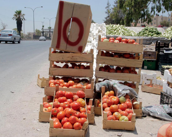 Prices of tomatoes have dropped by 20-25 per cent, as many people decided to stop buying tomatoes because of its high price (Photo by Osama Aqarbeh)