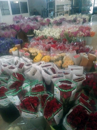 Flowers are displayed for sale on the occasion of Valentine's Day at the flowers bourse in Amman on Wednesday (Photo by Osama Aqarbeh)